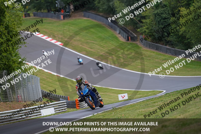 brands hatch photographs;brands no limits trackday;cadwell trackday photographs;enduro digital images;event digital images;eventdigitalimages;no limits trackdays;peter wileman photography;racing digital images;trackday digital images;trackday photos
